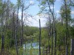 082_82 copy.jpg