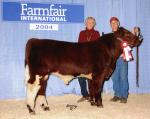 cfbullcalf2004.jpg